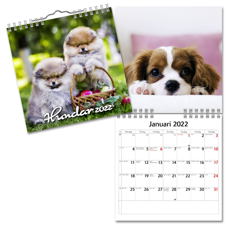 Köp Almanacka online – specialbutik för almanackor & kalendrar