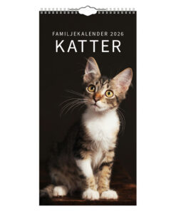 Familjekalender katter  2026