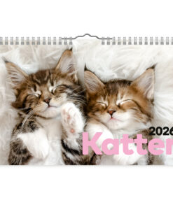 Katter- A4  väggkalender | 2026