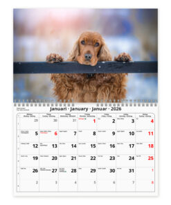 Alternative view of Hundar- A4  väggkalender | 2026