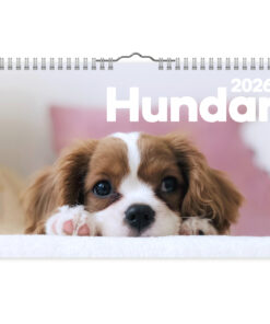 Hundar- A4  väggkalender | 2026