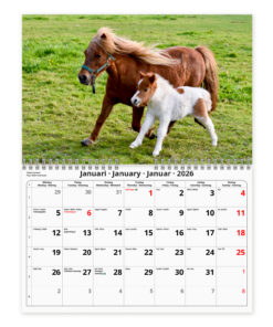 Alternative view of Hästar- A4  väggkalender | 2026