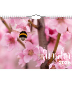 Humlor- A4  väggkalender | 2026