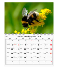 Alternative view of Humlor- A4  väggkalender | 2026