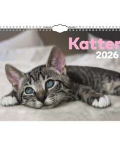 Katter-liten vägkalender | 2026