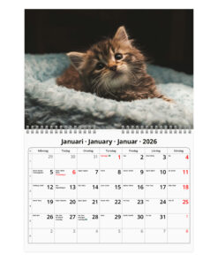 Alternative view of Katter-liten vägkalender | 2026