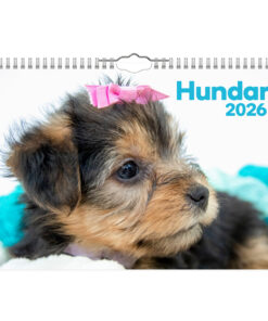 Hundar Liten väggkalender 2026