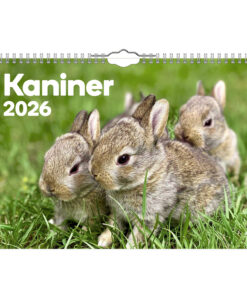 Kaniner Liten väggkalender | 2026