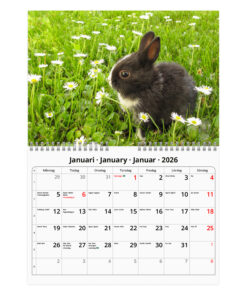 Alternative view of Kaniner Liten väggkalender | 2026