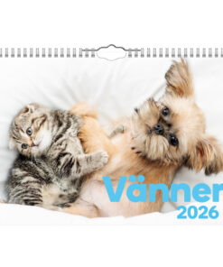 Vänner-Liten väggkalender | 2026