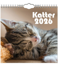 Katter-Mini väggkalender | 2026