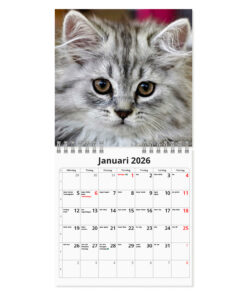 Alternative view of Katter-Mini väggkalender | 2026