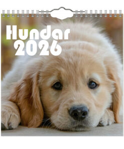 Hundar Mini väggkalender  2026