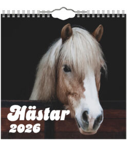 Hästar- mini väggkalender | 2026