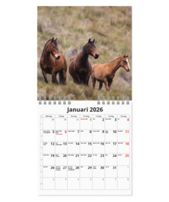 Alternative view of Hästar- mini väggkalender | 2026