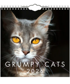 Grumpy Cats Mini väggkalender  2026
