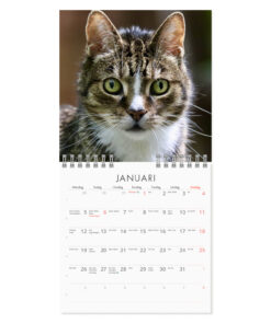 Alternative view of Grumpy Cats Mini väggkalender  2026