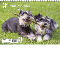 Hundkalendern | 2026