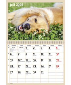 Alternative view of Hundkalendern | 2026