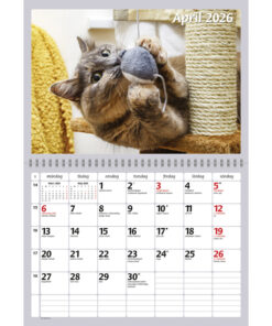 Alternative view of Kattkalendern | 2026