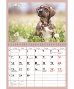 Alternative view of Hundkalendern | 2027