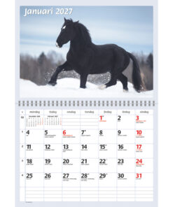 Alternative view of Hästkalendern | 2027