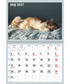 Alternative view of Kattkalendern | 2027