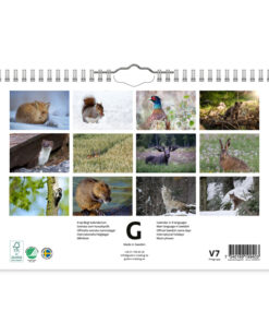 Alternative view of Levande Skog | 2027